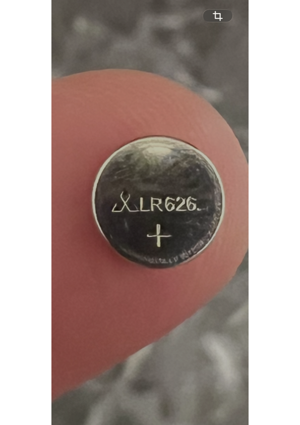 取り出した電池 LR626